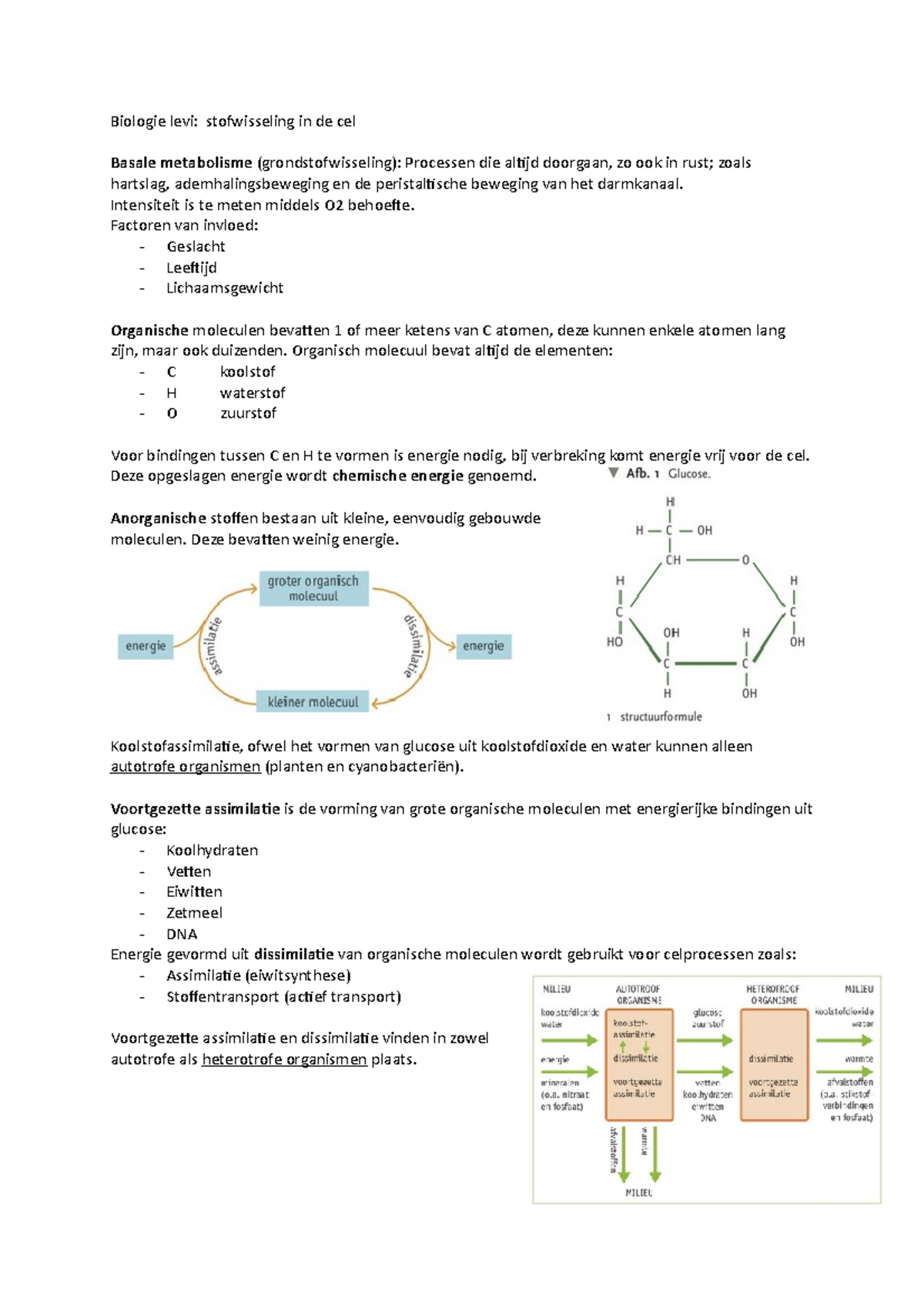 Stofwisseling In De Cel - Biologie Levi: Stofwisseling In De Cel Basale ...