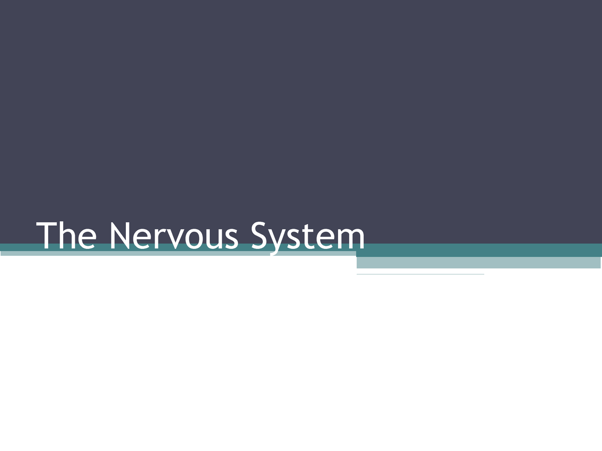 Intro Nervous System - The Nervous System Nervous System Master ...