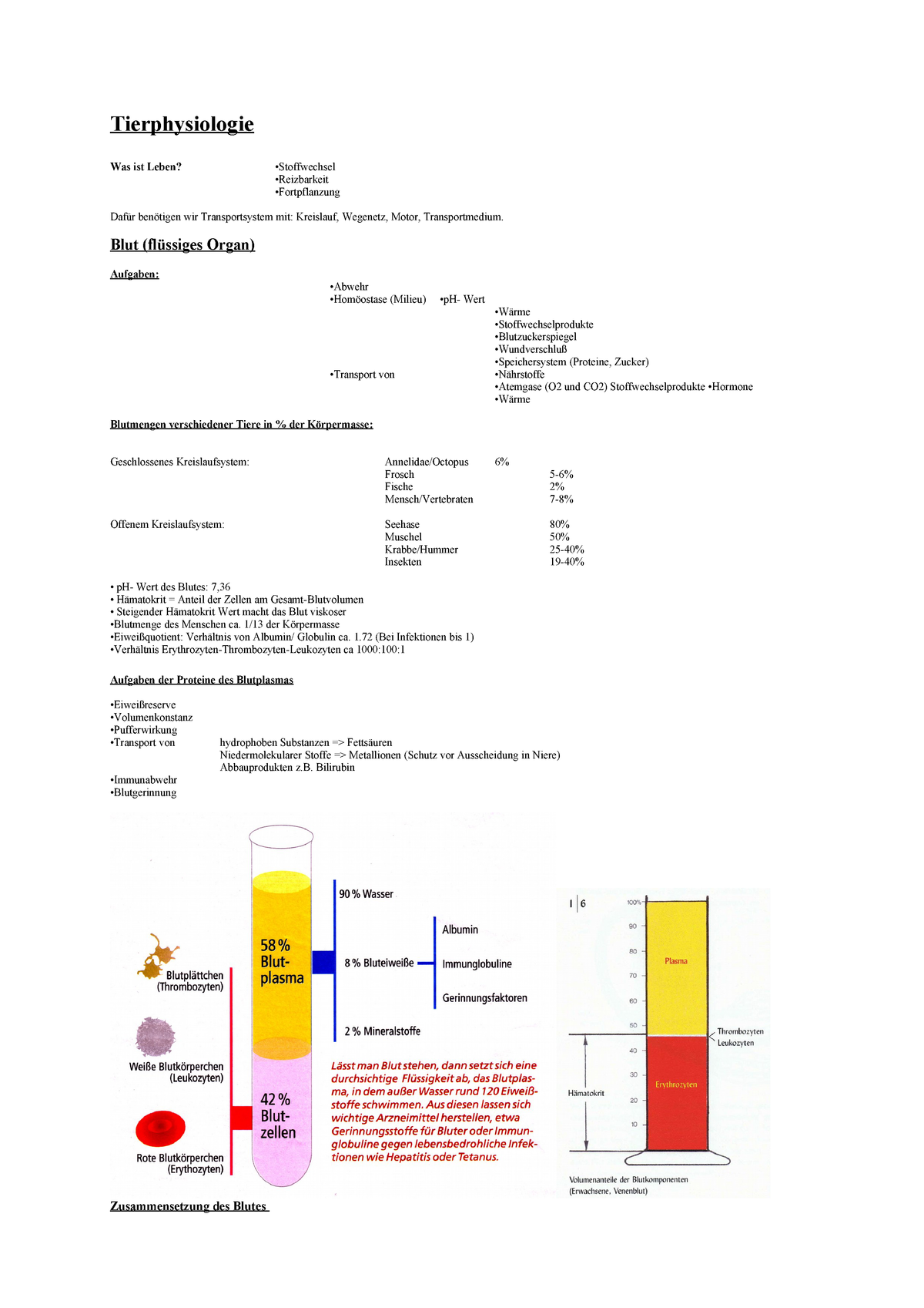 Zusammenfassung Tierphysiologie.pdf - - Uni Frankfurt ...
