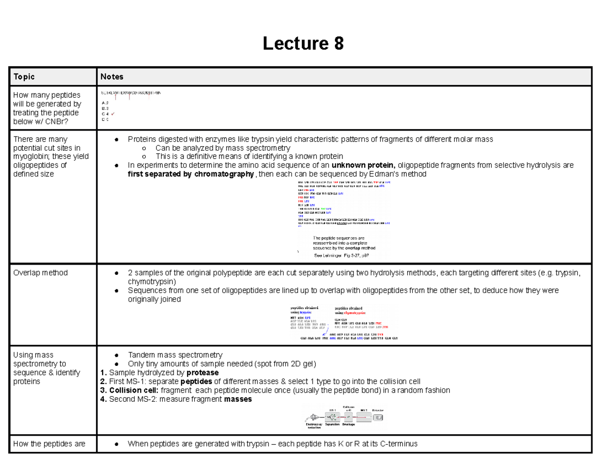 Lecture 8 - Lecture 8 Topic Notes How many peptides will be generated ...