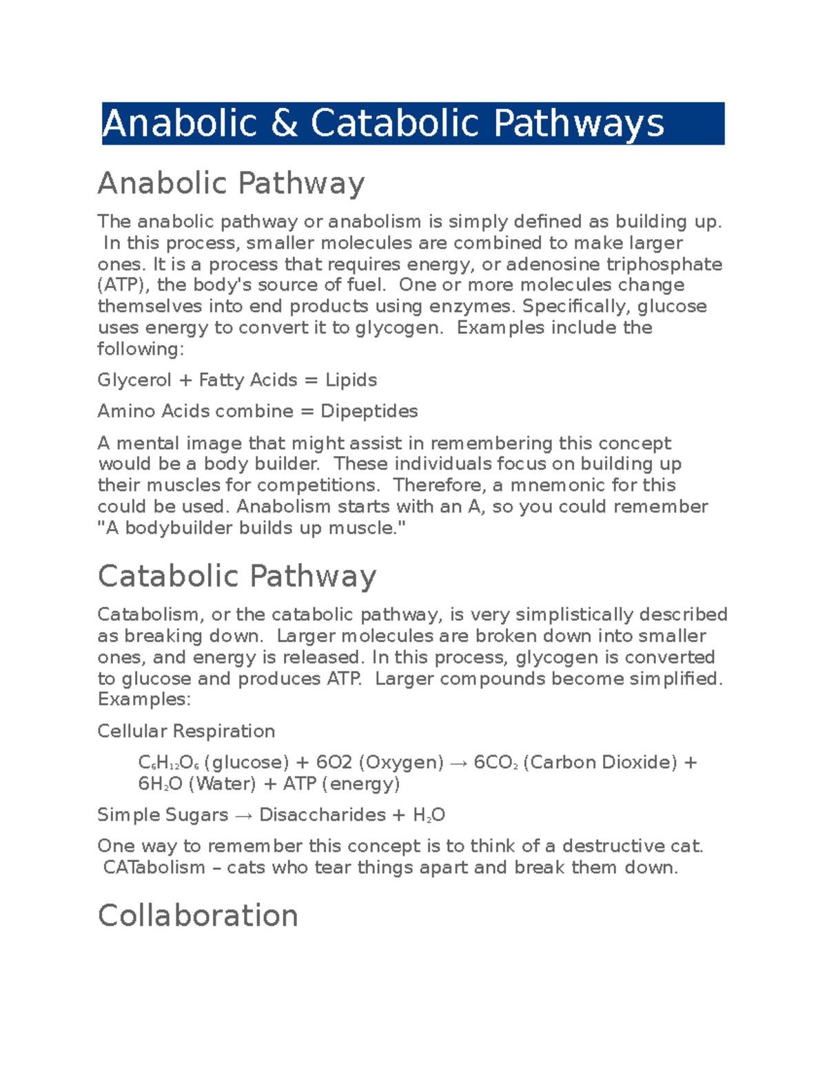 NR 228 Edapt reading - Anabolic & Catabolic Pathways Anabolic Pathway ...