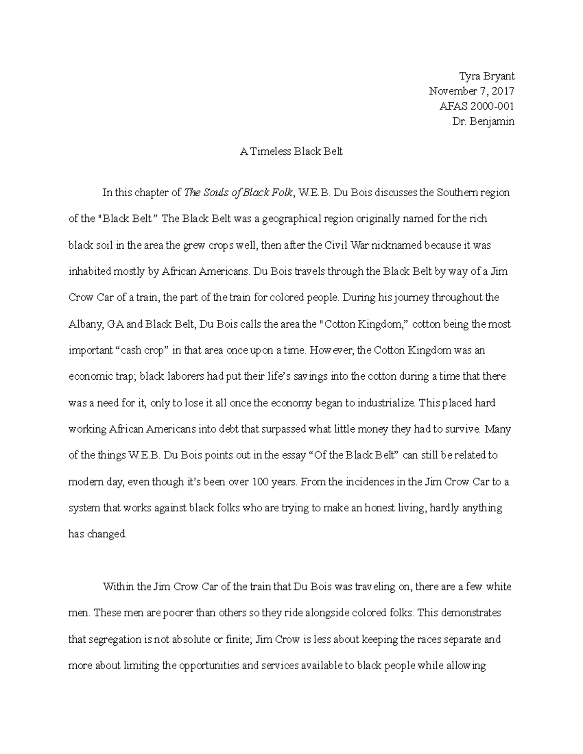 Why is african american studies important essay picture