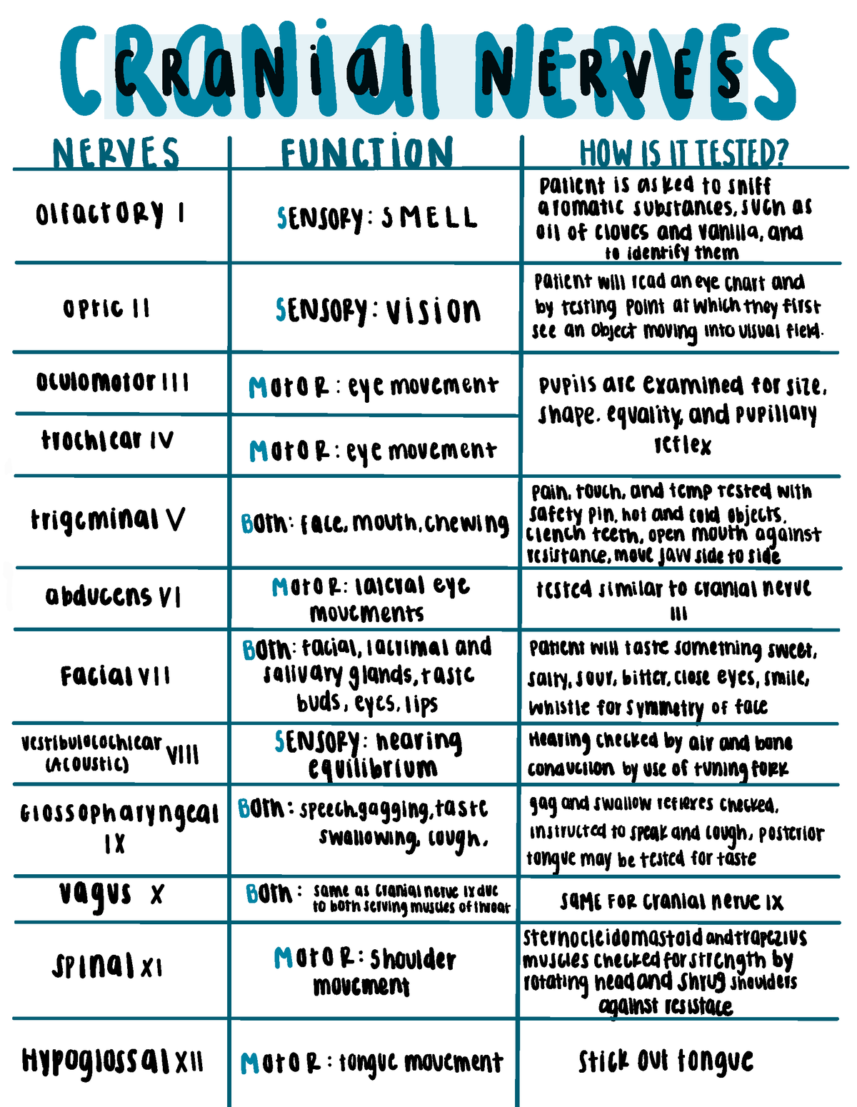 Cranial Nerves - ( Rraalivviiaall INVIERRNEES ####### NERVES FUNCTION ...