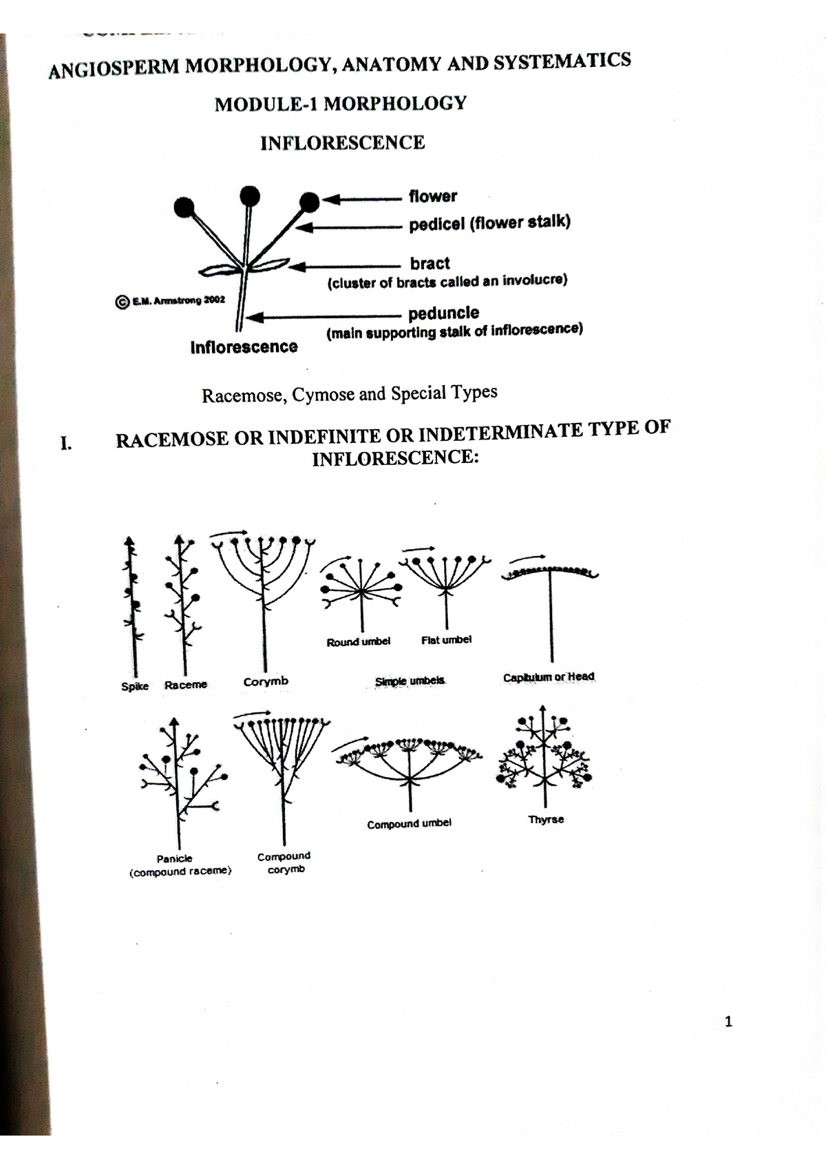 Inflorescence - Taxonomy, Morphology and Economic botany - Studocu