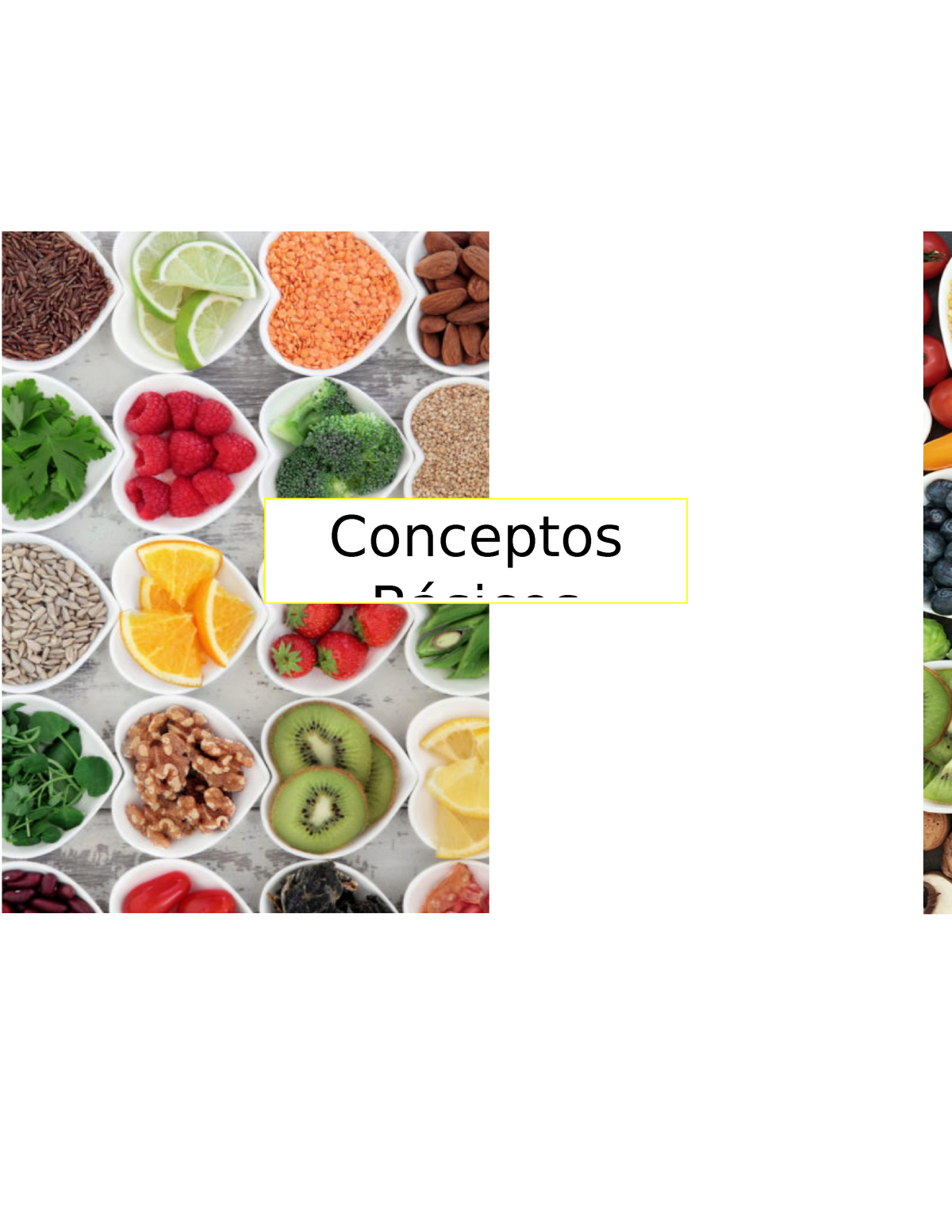 Conceptos Básicos Nutricion - Conceptos Básicos Nutrición: Según La OMS ...