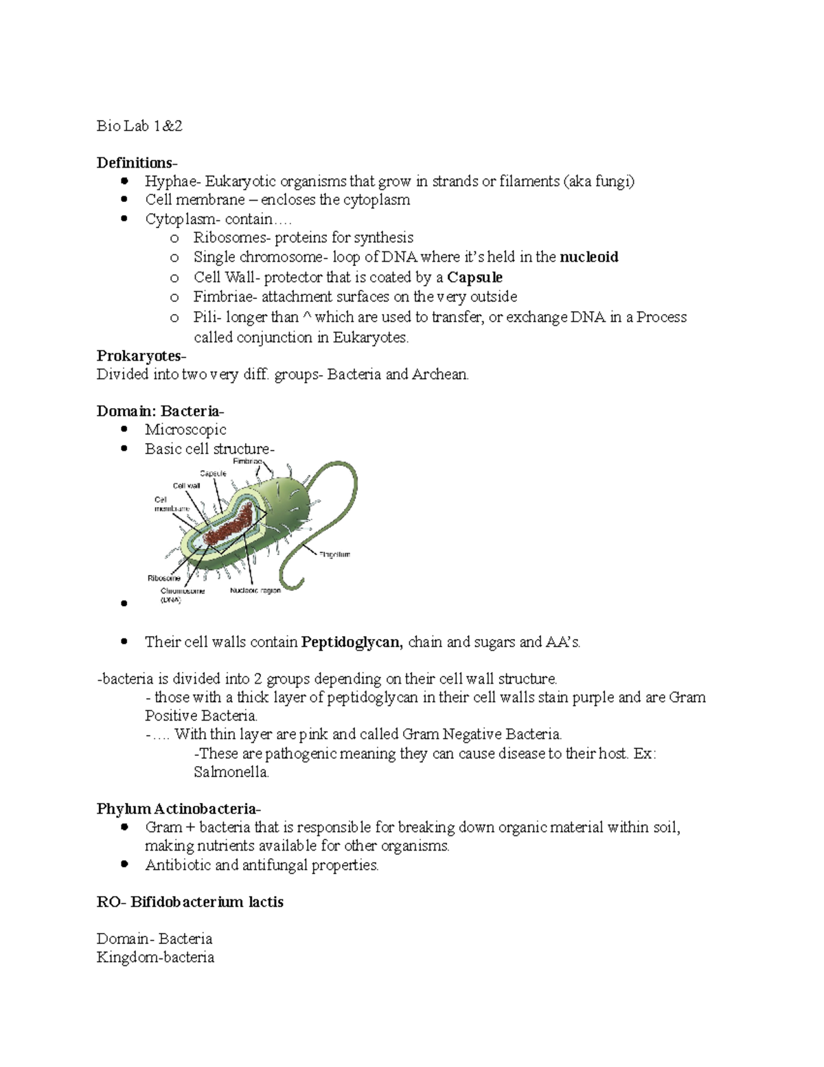 Bio Lab 1,2,3 - lab notes - Bio Lab 1& Definitions- Hyphae- Eukaryotic ...