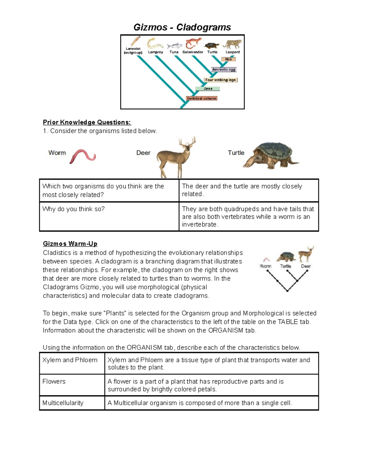 Cladograms Gizmo Answer Key