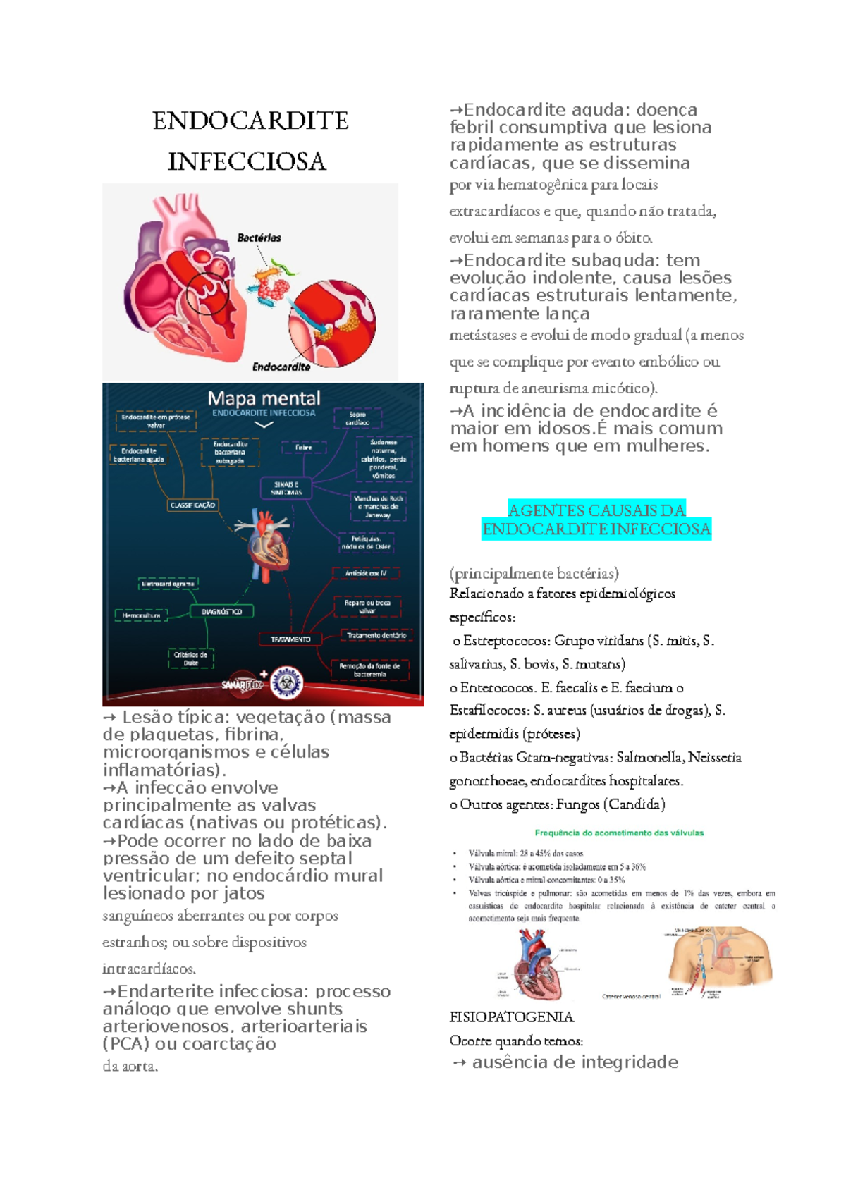 Endocardite Infecciosa - ENDOCARDITE INFECCIOSA Lesão típica: vegetação ...