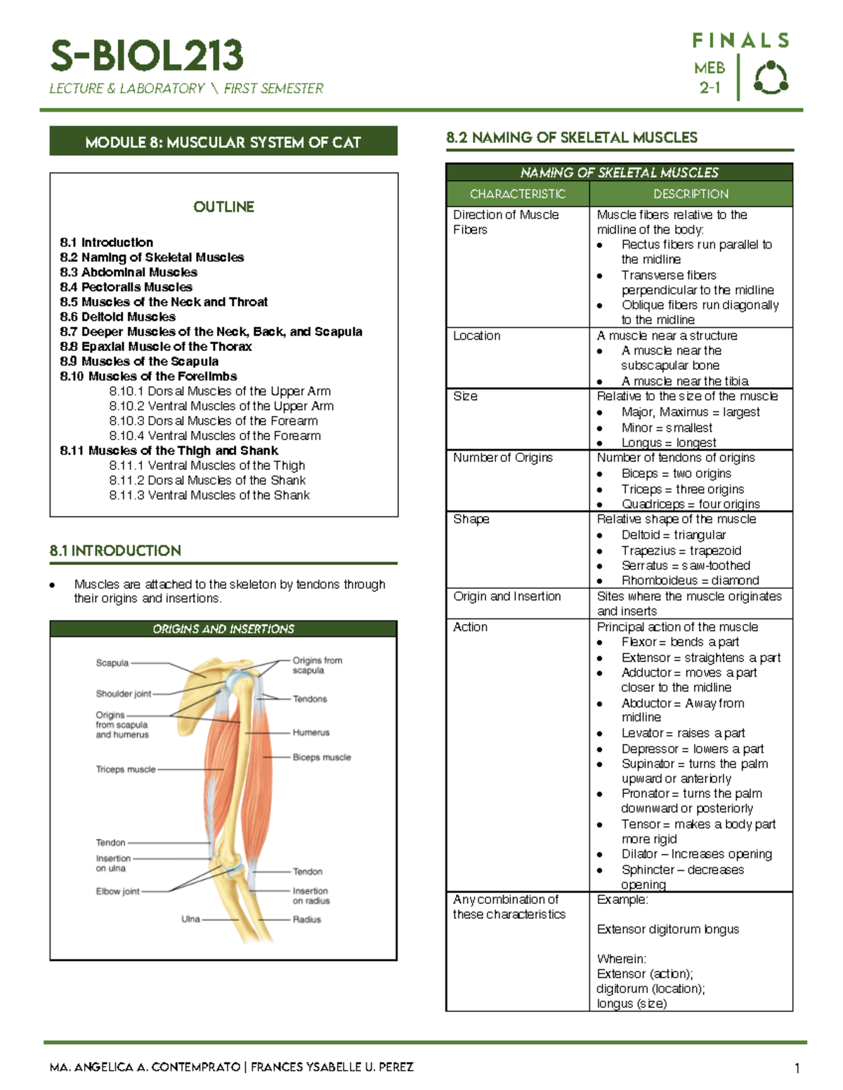 Comparative Anatomy - S-BIOL LECTURE & LABORATORY \ FIRST SEMESTER MEB ...