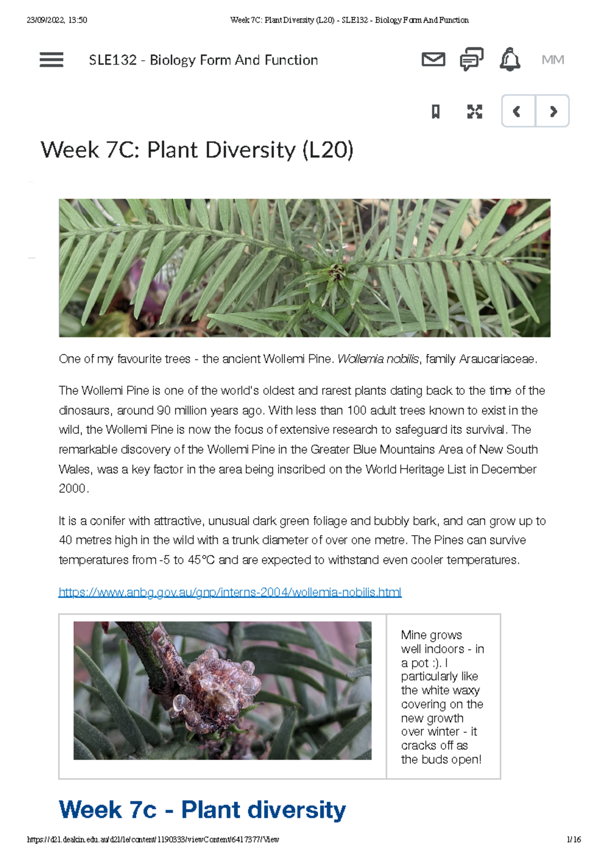 Week 7C Plant Diversity (L20) - SLE132 - Biology Form And Function ...