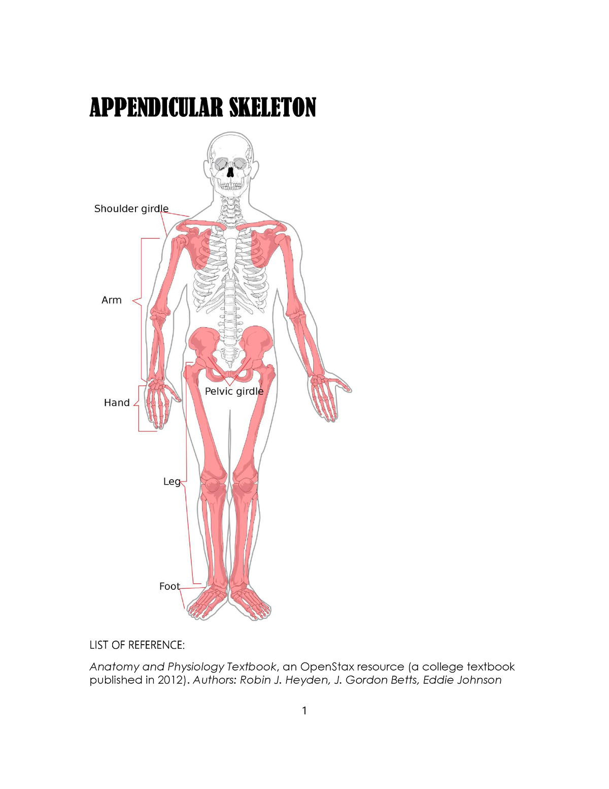 Appendicular Skeleton Appendicular Skeleton List Of Reference