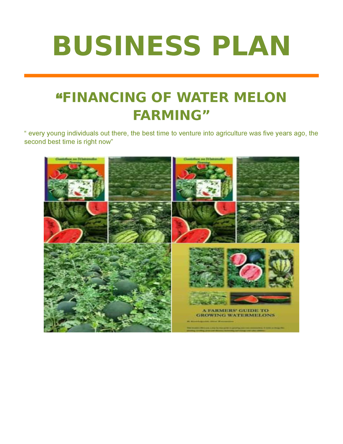 watermelon farming business plan pdf