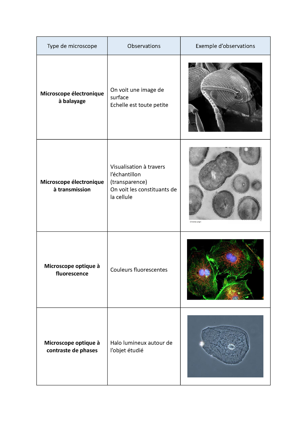 Fiche Sur Les Diff Rents Microscopes Type De Microscope Observations