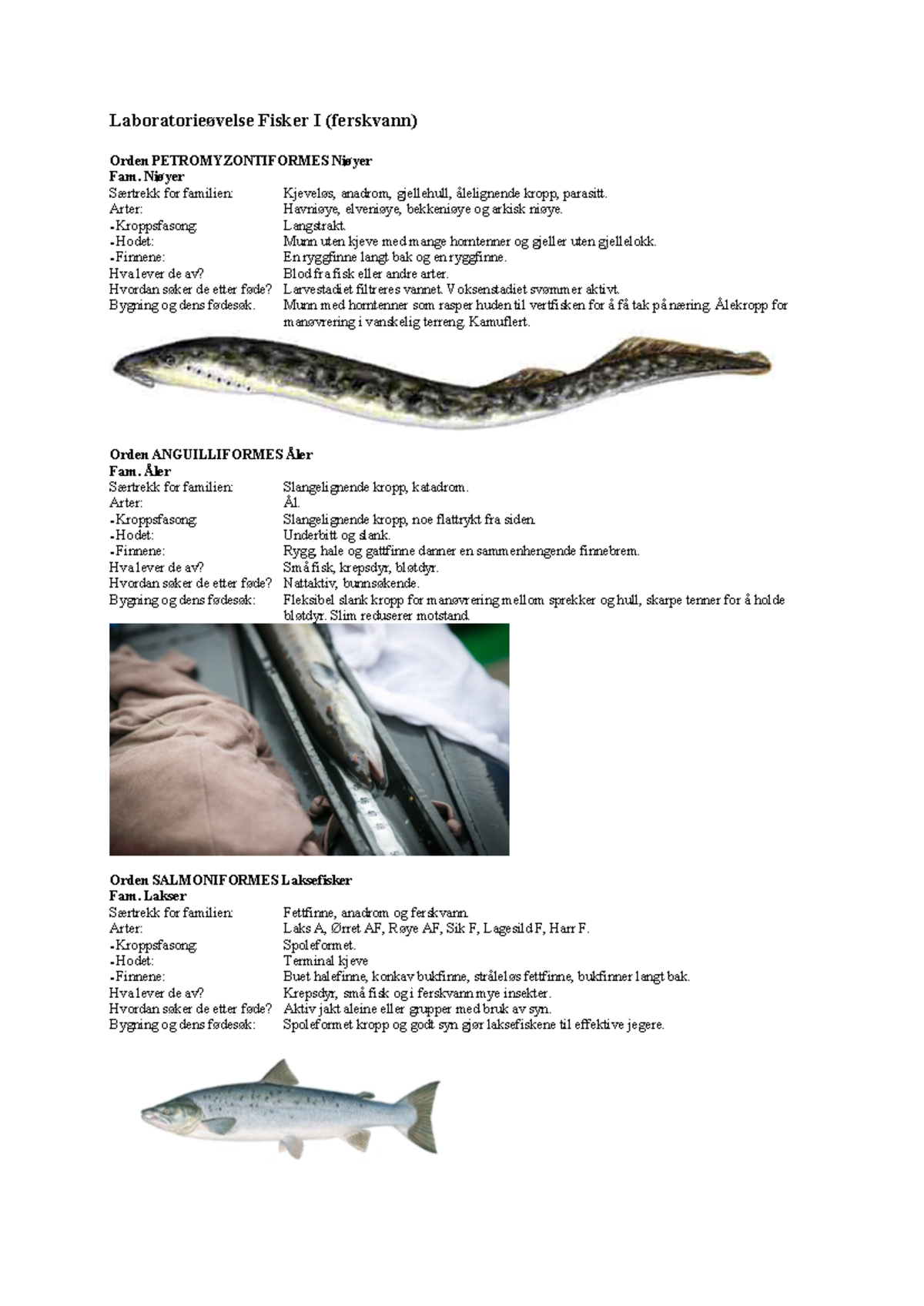 Laboratorieøvelse - Sammendrag - Laboratorieøvelse Fisker I (ferskvann ...