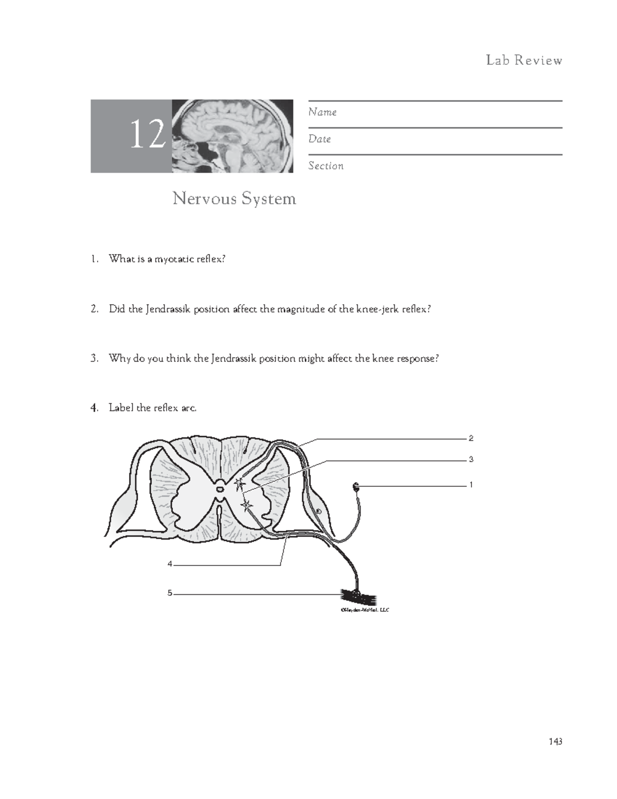 Lab 12 PP 143-145 - answers not included - Name Date Section Nervous ...