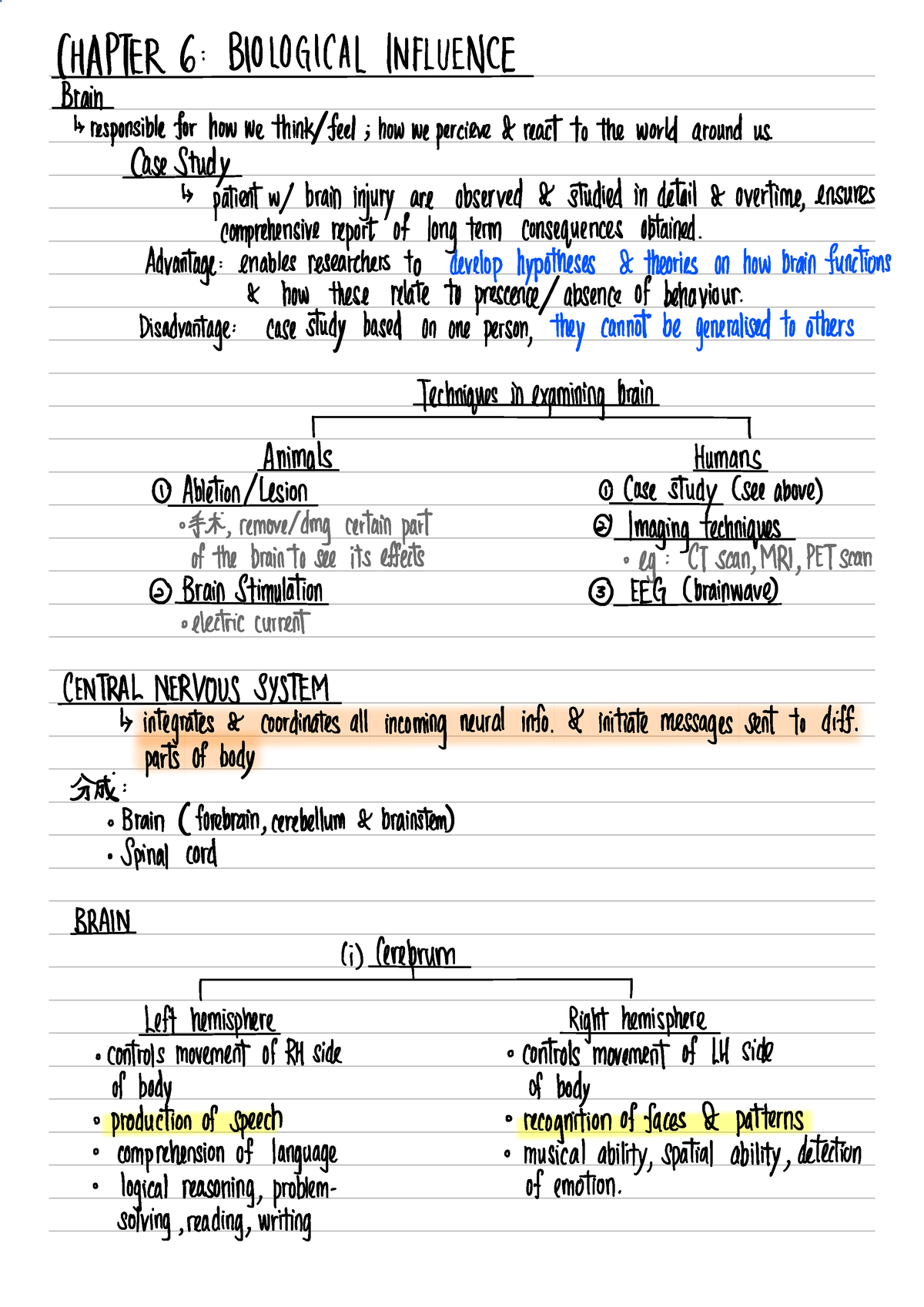 chapter 6 homework psychology quizlet