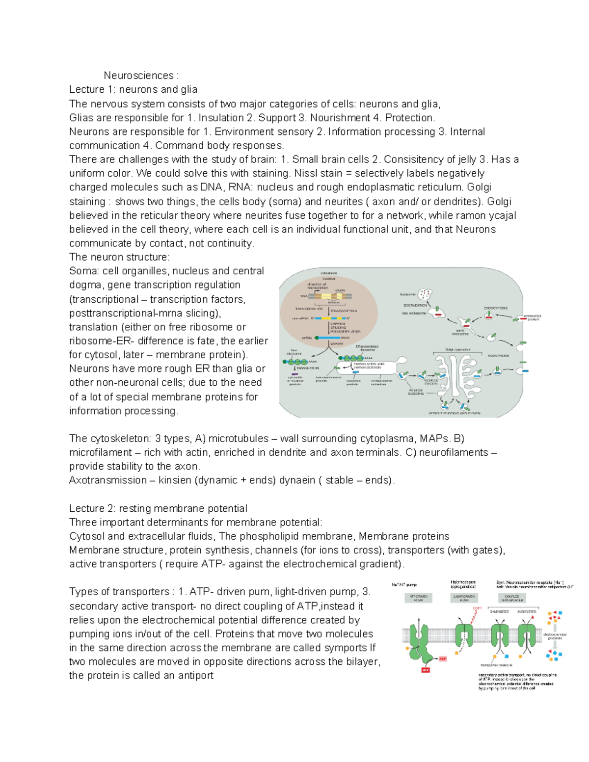 Neurosciences - my notes for the short version of the course ...
