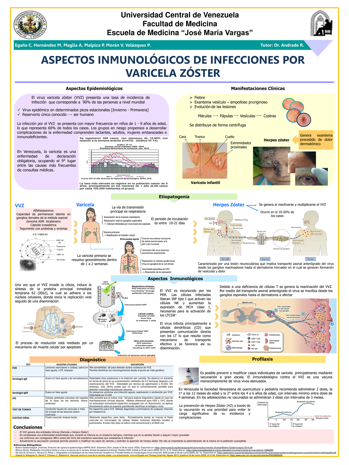 Varicela zoster aspectos inmunologicos tutor dr r andrade - Universidad ...