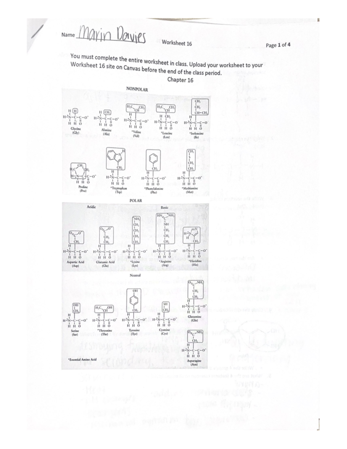 Worksheet 16 CHEM 101 Studocu