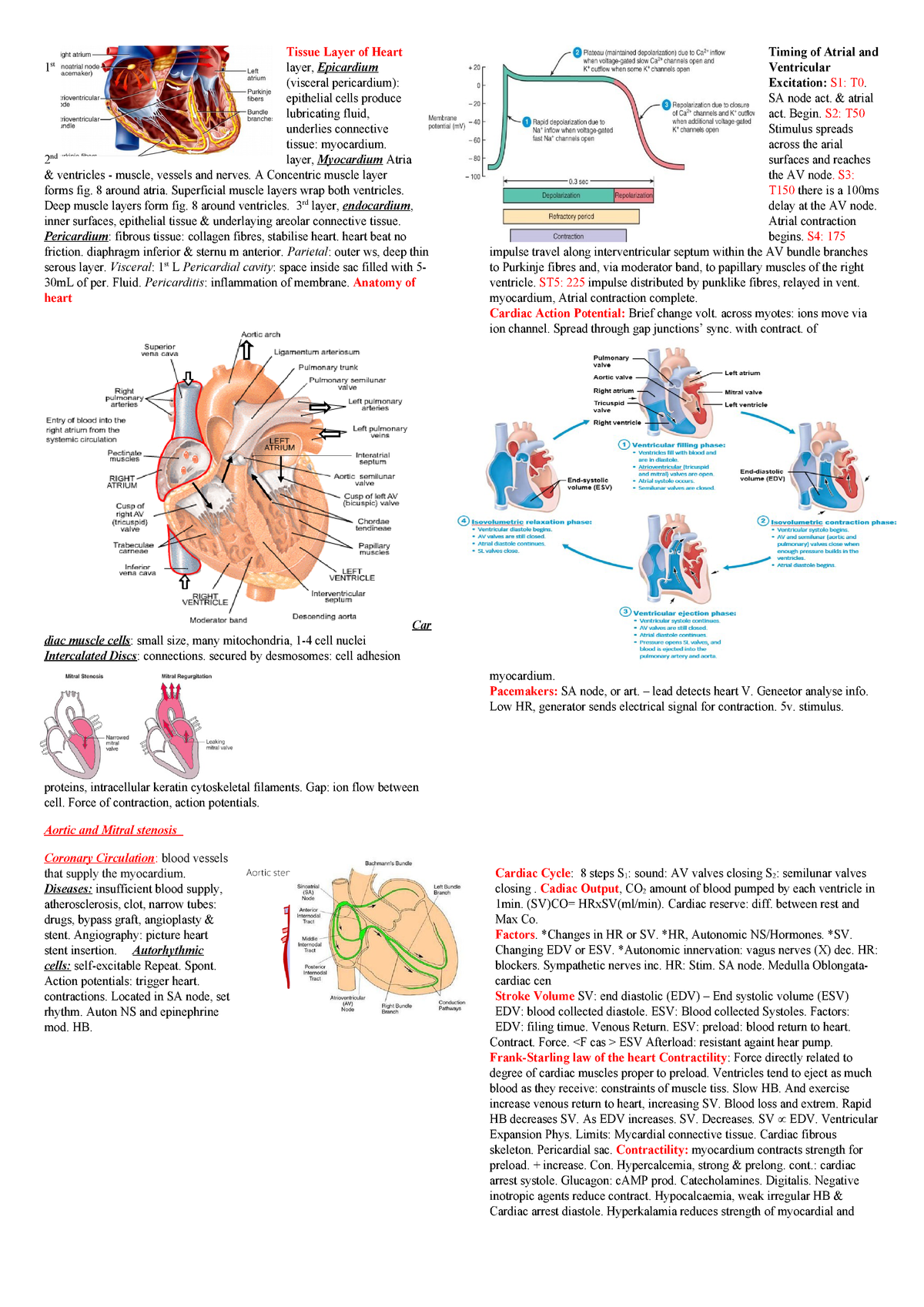Anatomy And Physiology Cheat Sheet Science Olympiad D - vrogue.co