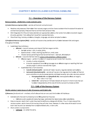 Chapter 19 - The Urinary Sytem Fluid and Electrolyte Balance (1 ...