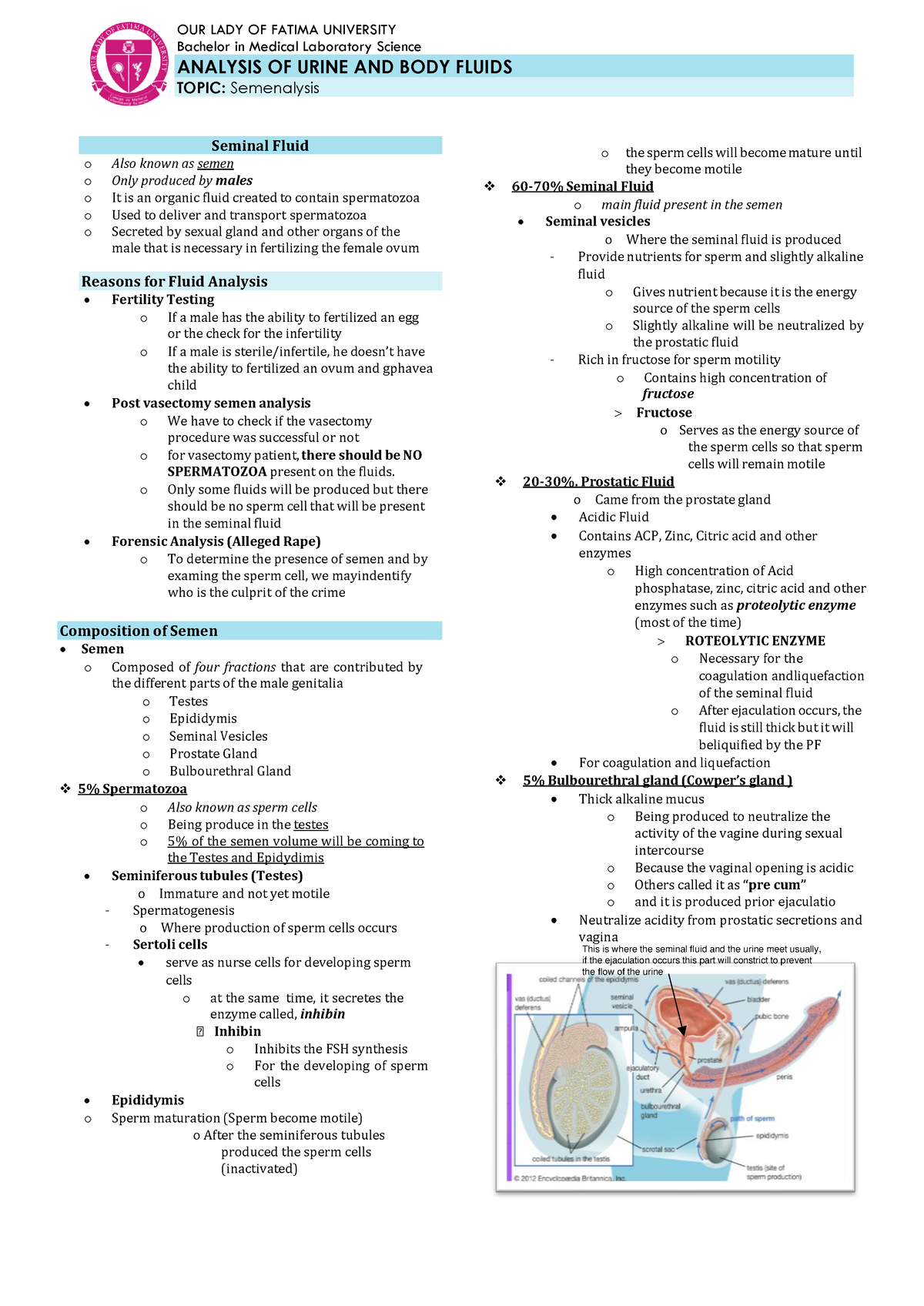 Semenalysis-dash 4 - Bachelor in Medical Laboratory Science ANALYSIS OF ...