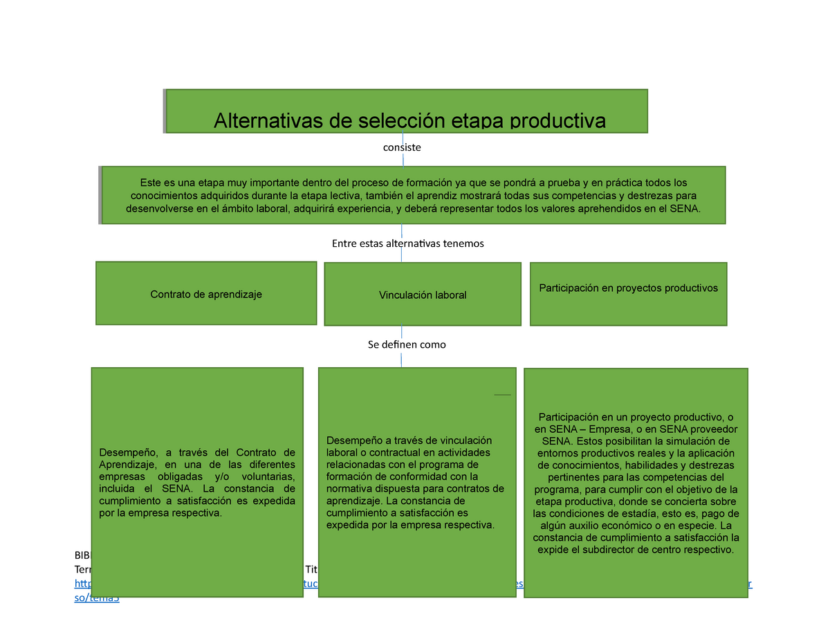 Cuadro Sinoptico Alternativas De Selección Etapa Productiva Bibliografia Territorium Sena 6899