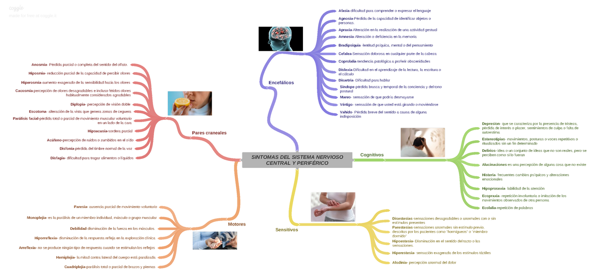 Mapa mental síntomas del Sistema nervioso central y periférico - SINTOMAS  DEL SISTEMA NERVIOSO - Studocu