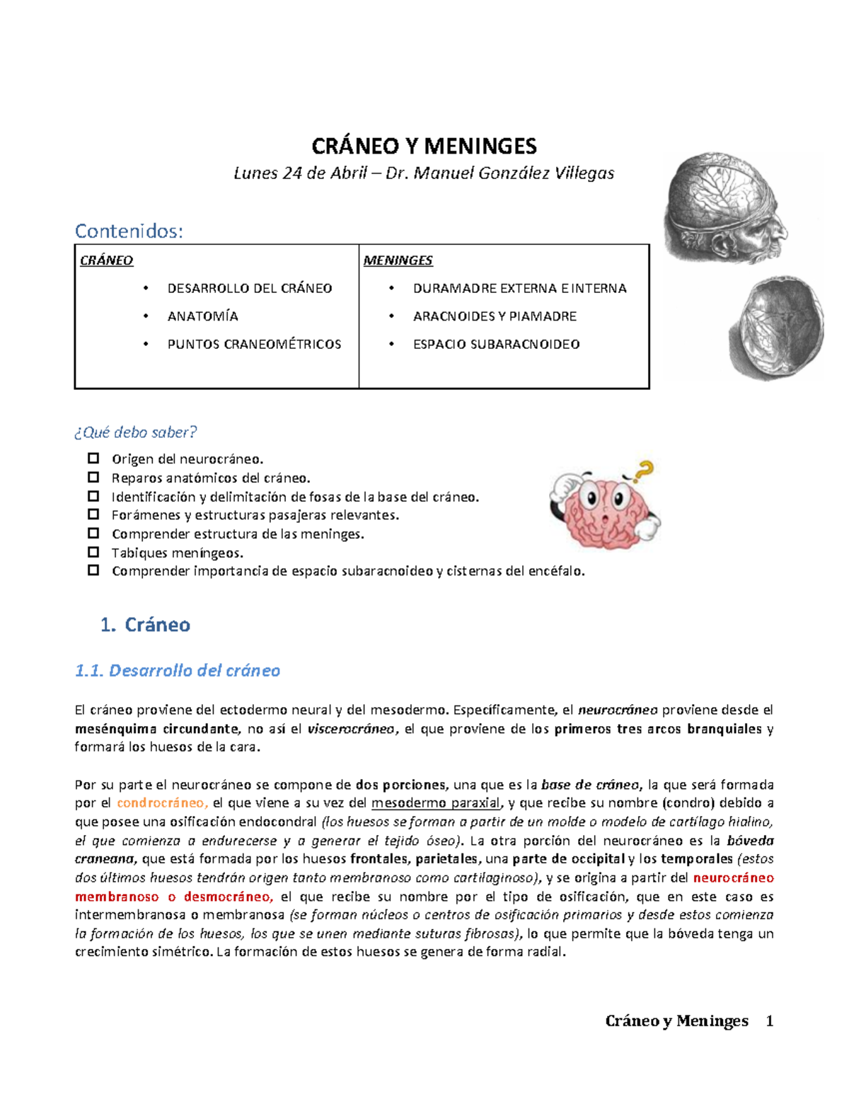 Meninges origen del nombre