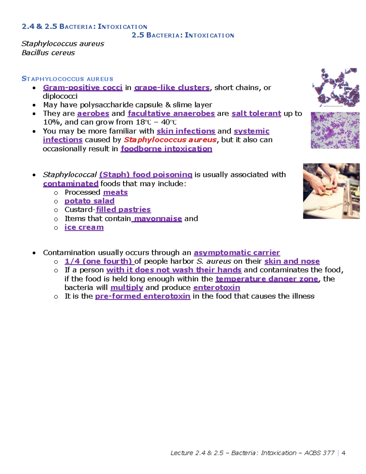2.5 Foodborne Intoxication - 2 BACTERIA: INTOXICATION Staphylococcus ...