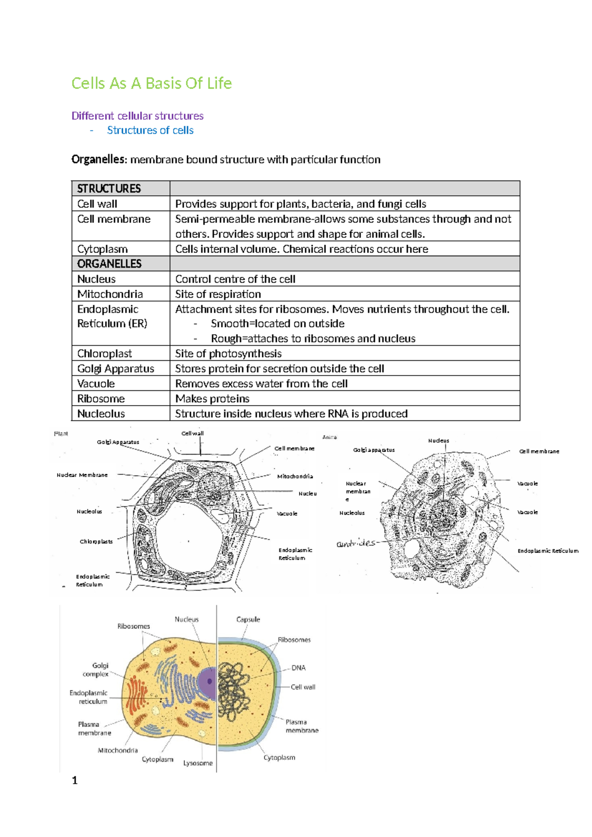 Biology Notes Module 2 - Cells As A Basis Of Life Different cellular ...