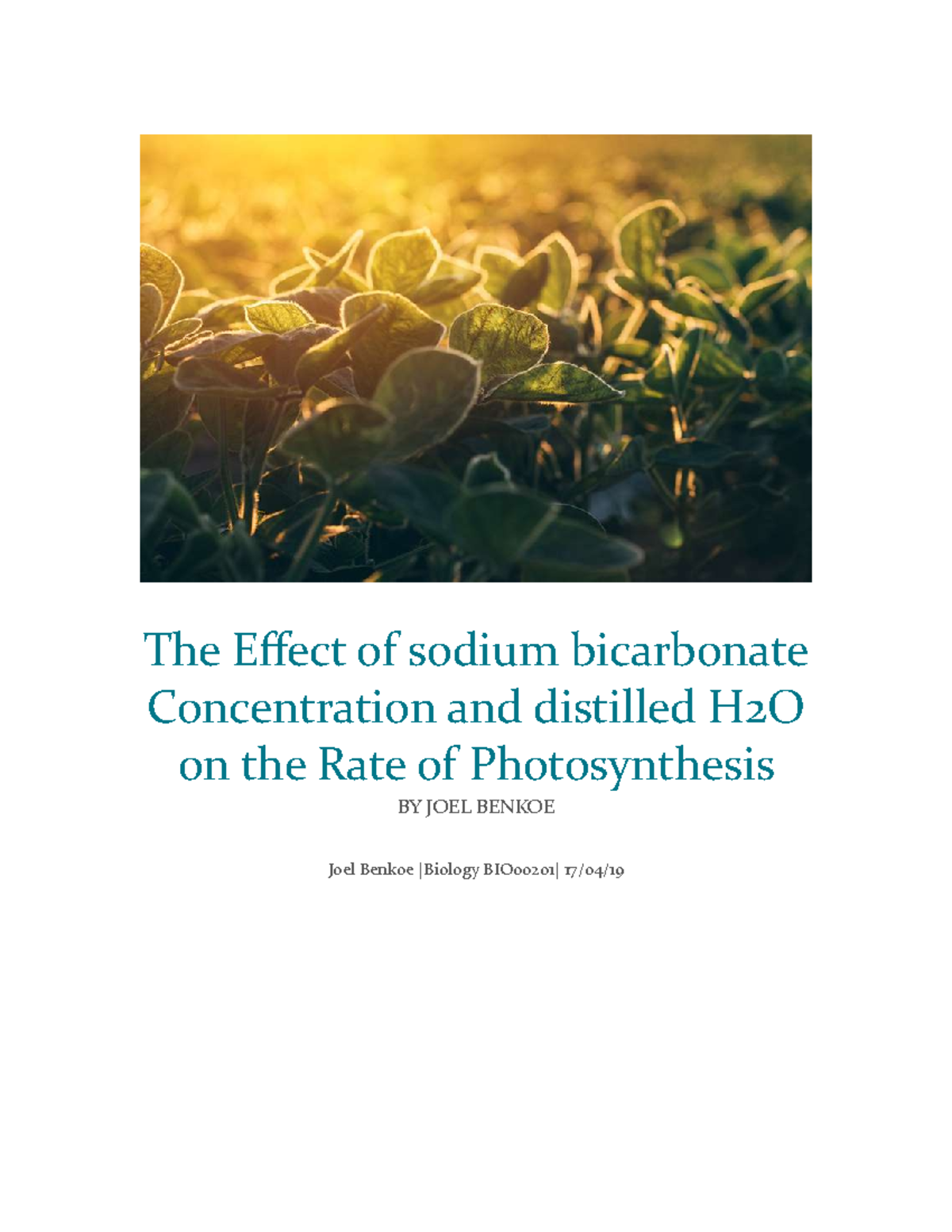 Effect of Sodium Bicarbonate on Photosynthesis Rate Studocu
