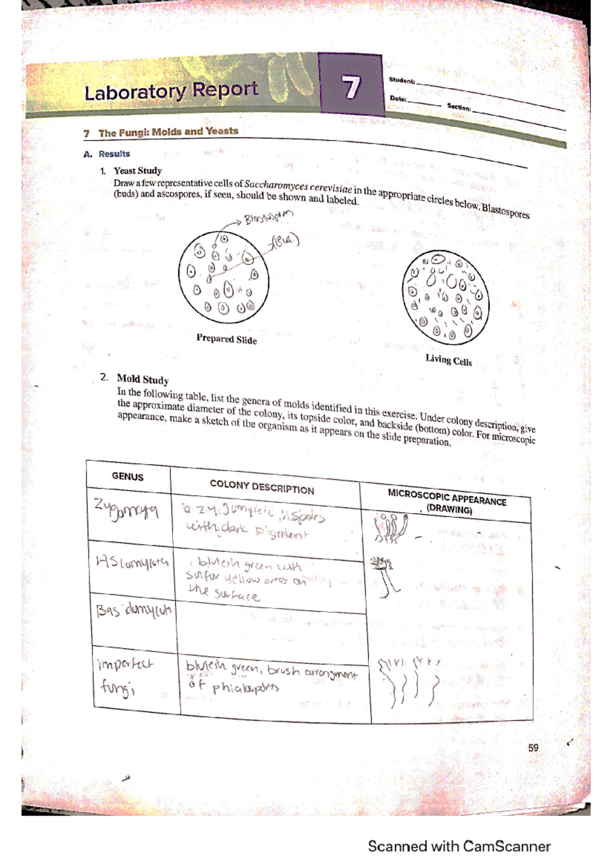Exercise 7 - BIO 251 - Studocu
