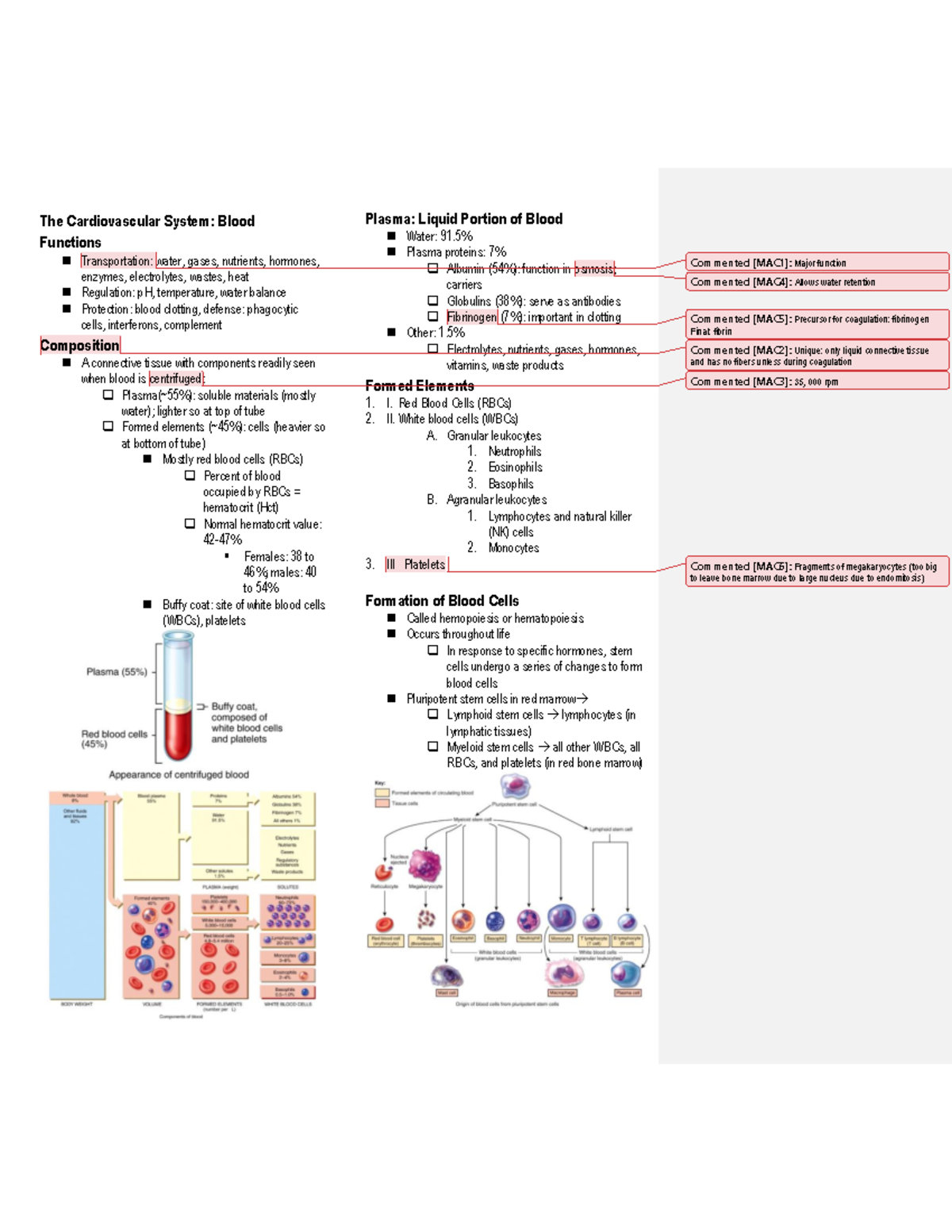 AaPhy Lec- Introduction to the Cardiovascular System - Fundamentals of ...