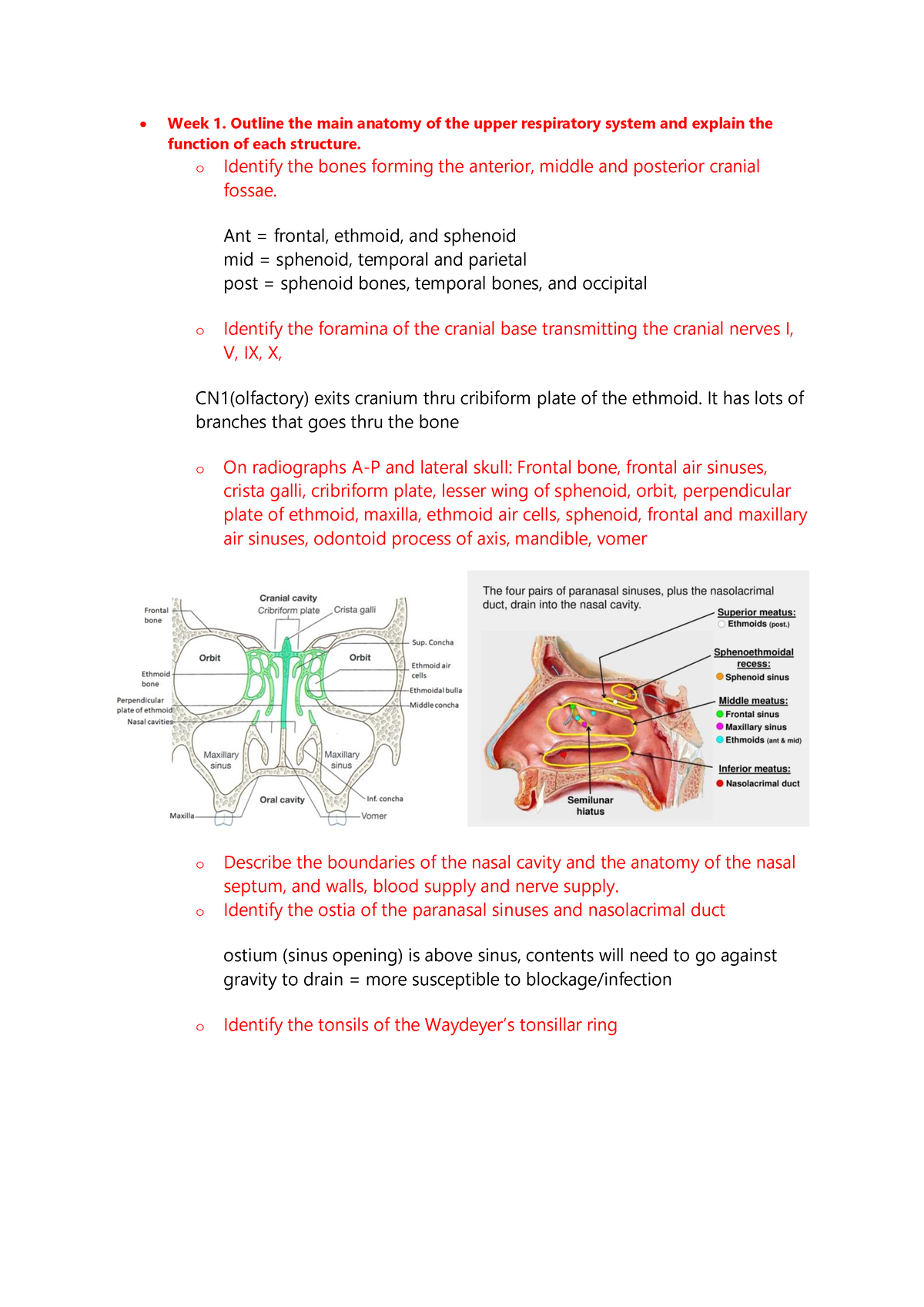 Cardiovascular anat revision - • Week 1. Outline the main anatomy of ...