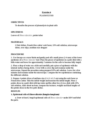 Individual inventory Service - Psychology - Studocu