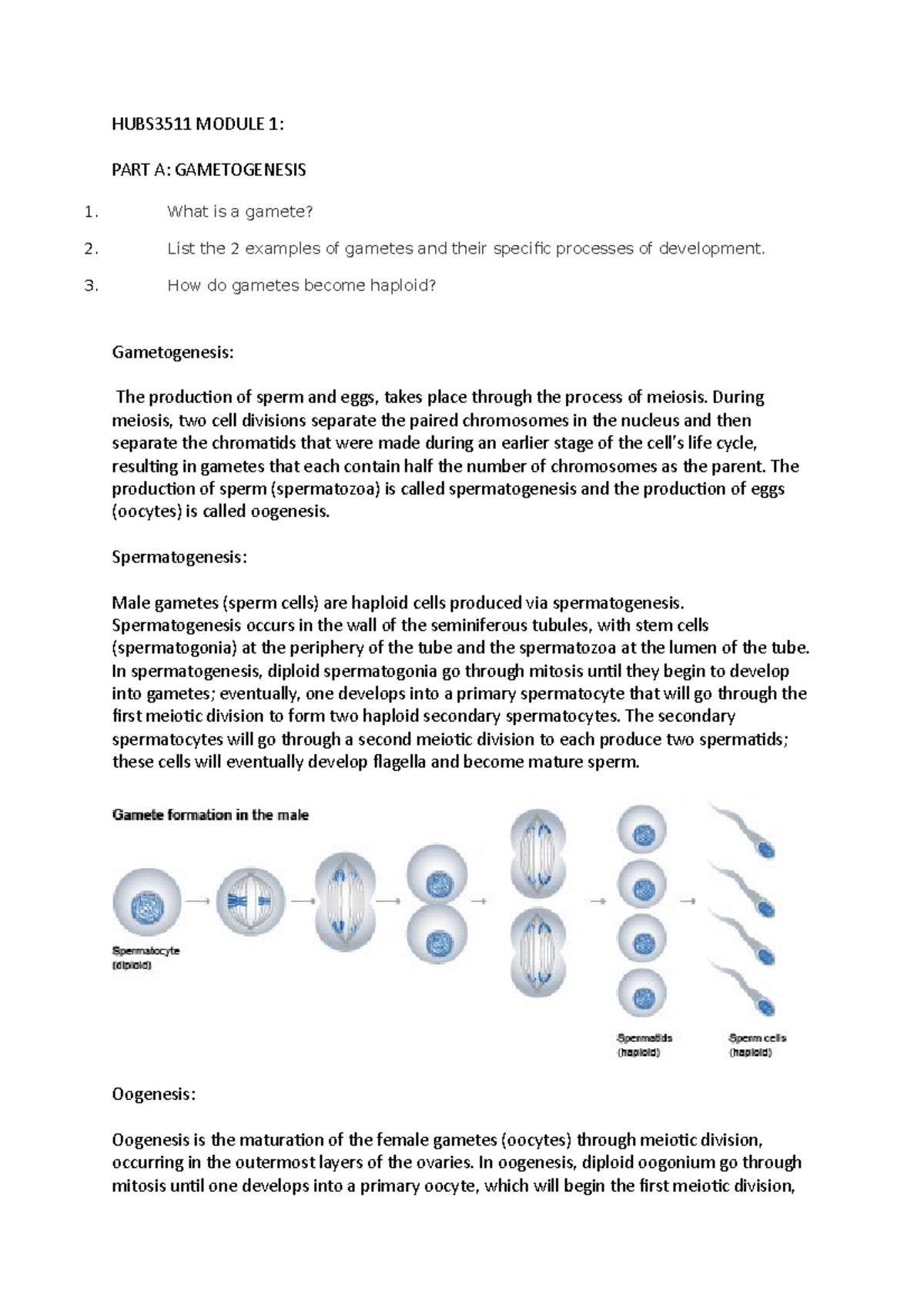 hubs3511-modules-hubs3511-module-1-part-a-gametogenesis-what-is-a