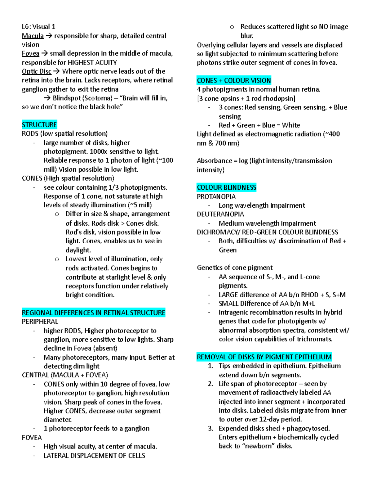 Review notes - L6: Visual 1 Macula responsible for sharp, detailed ...