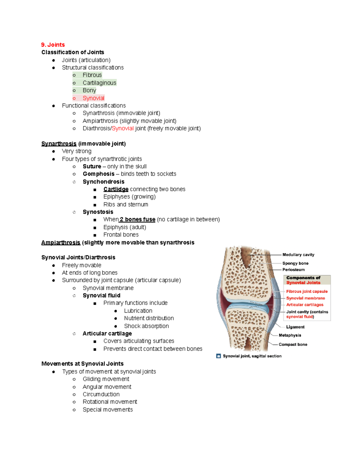 Chapter 9 Joints - Joints Classification of Joints Joints (articulation ...