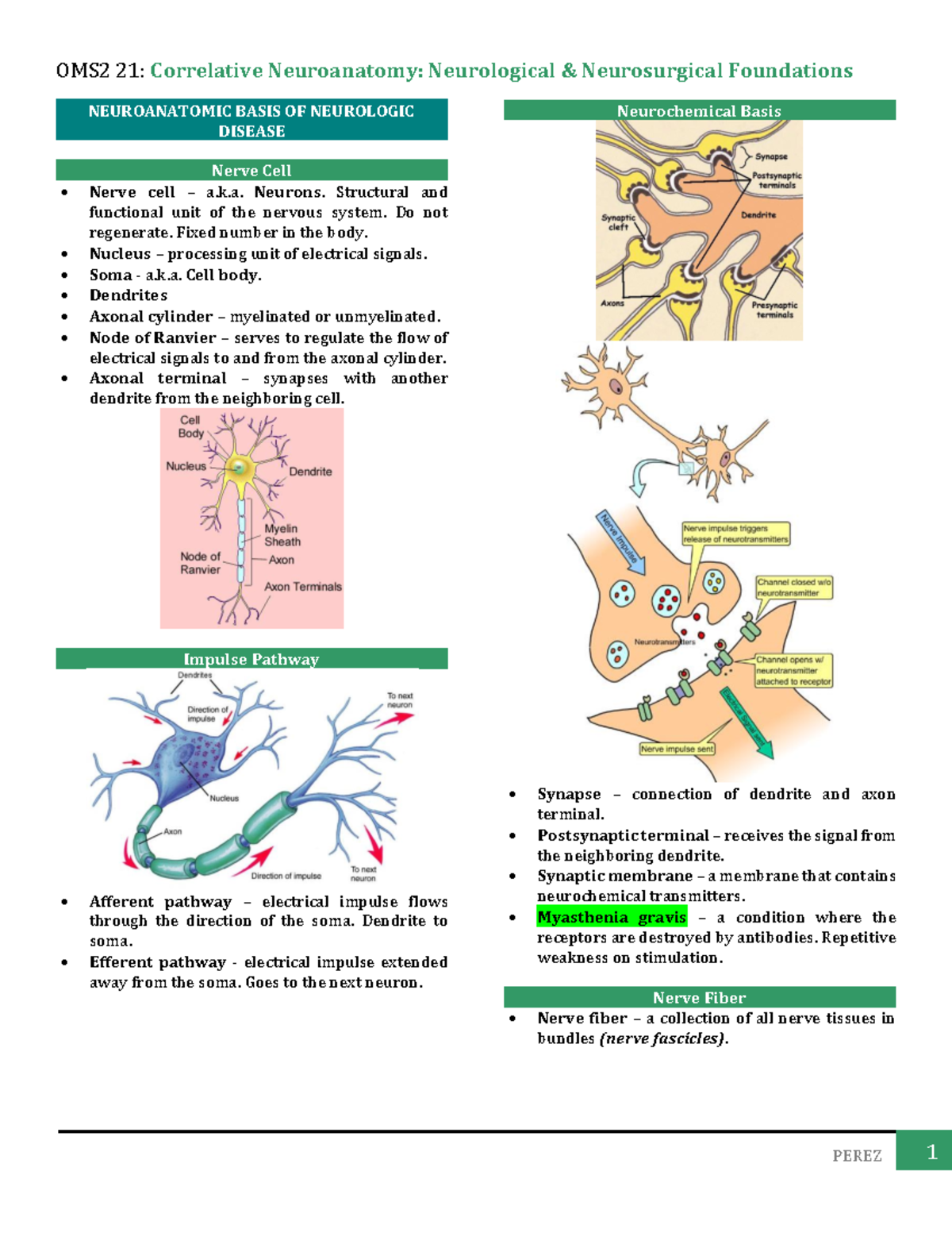 OMS2 21 Week 1 - OMS2 21 Week 1 - NEUROANATOMIC BASIS OF NEUROLOGIC ...