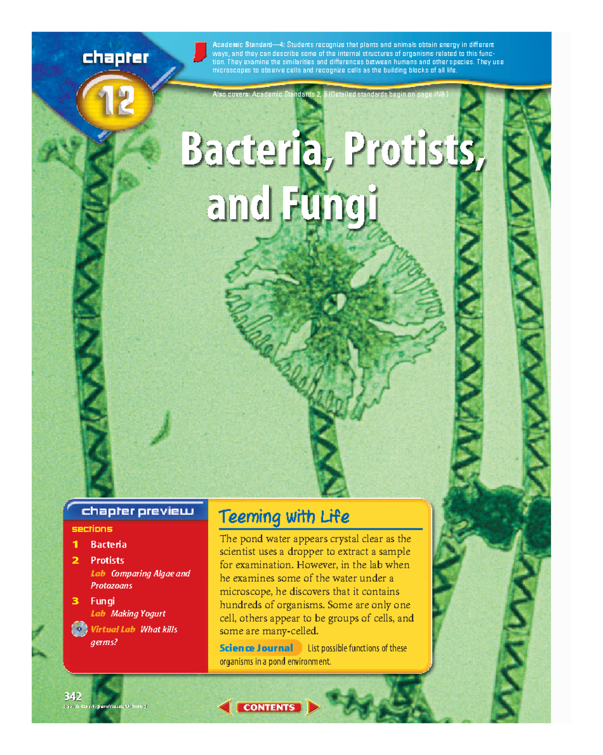 Bacteria, Protists and Fungi - 342 sections 1 Bacteria 2 Protists Lab ...