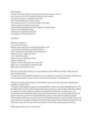 Pharm. Content 6 Notes - Deprecated API usage: The SVG back-end is no ...