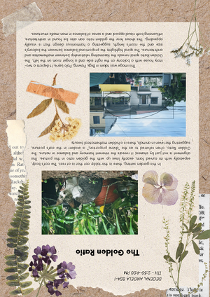 SIP Evaluation Guide - Sample - SCIENCE INVESTIGATORY PROJECT ...