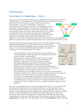 Biologie Hoofdstuk 3 Stofwisseling In De Cel - Een Groot Deel Hiervan ...