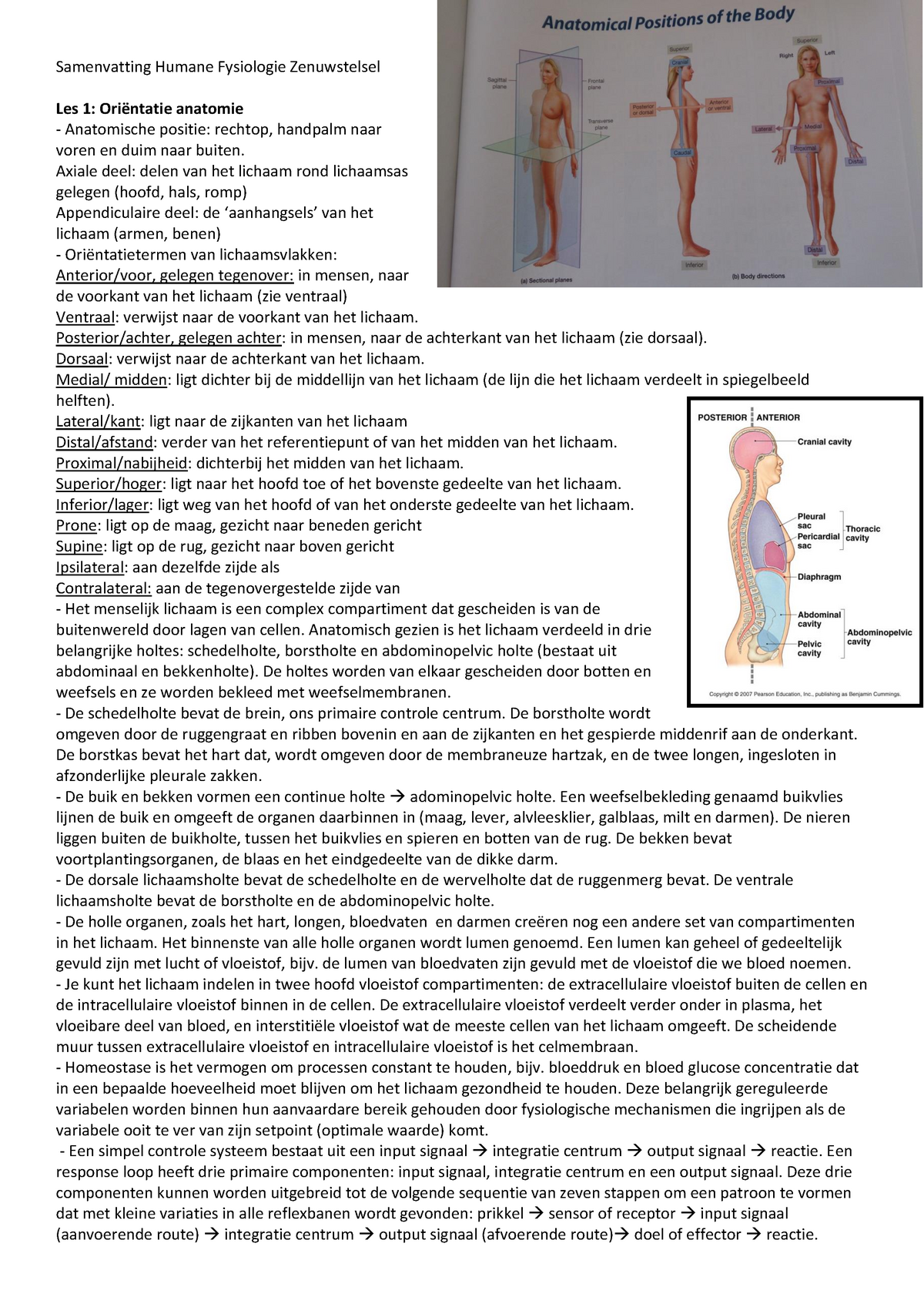 Samenvatting, Humane Fysiologie Zenuwstelsel, College 1-6 ...