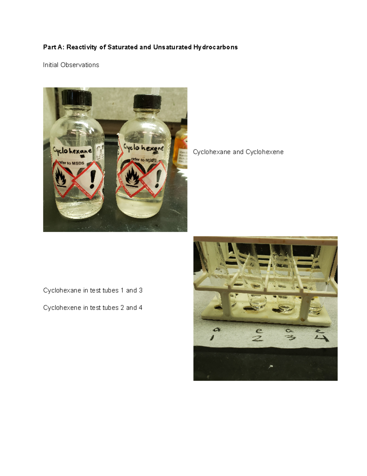 Lab 6 Observations F21 Worksheet Part A Reactivity Of Saturated And Unsaturated