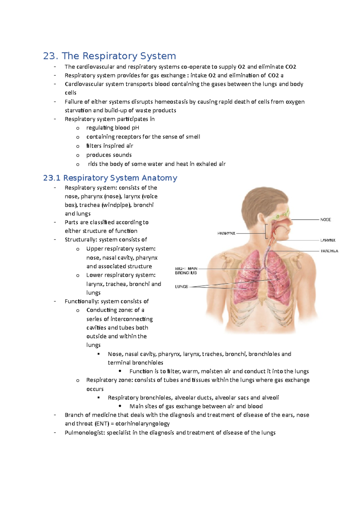 23. Respiratory System - 23. The Respiratory System The Cardiovascular 