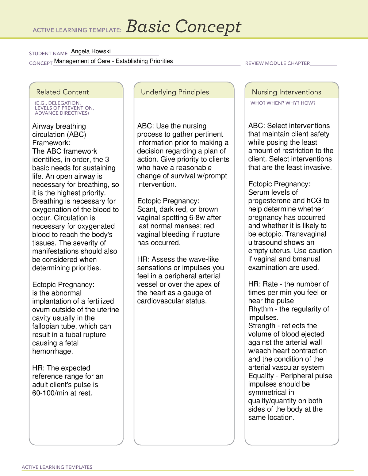 Remediation B Template Establishing Priorities ACTIVE LEARNING