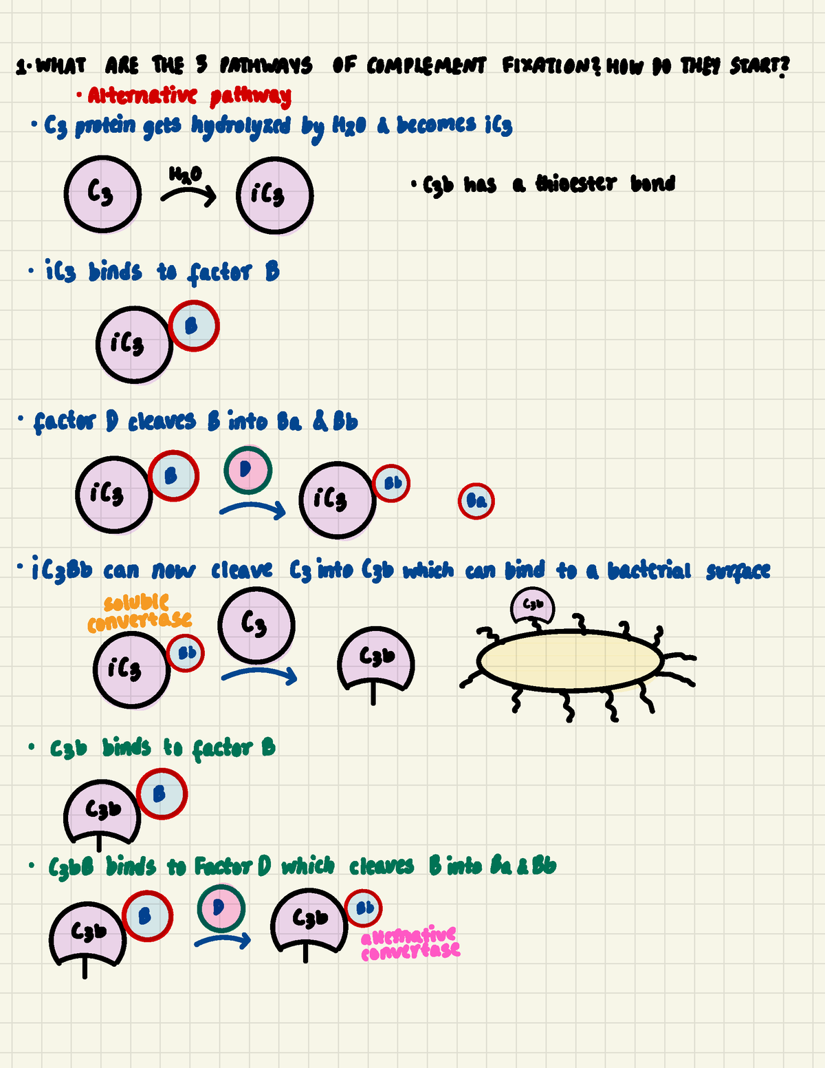 cell-biology-cellular-communication-ditki-medical-biological-sciences