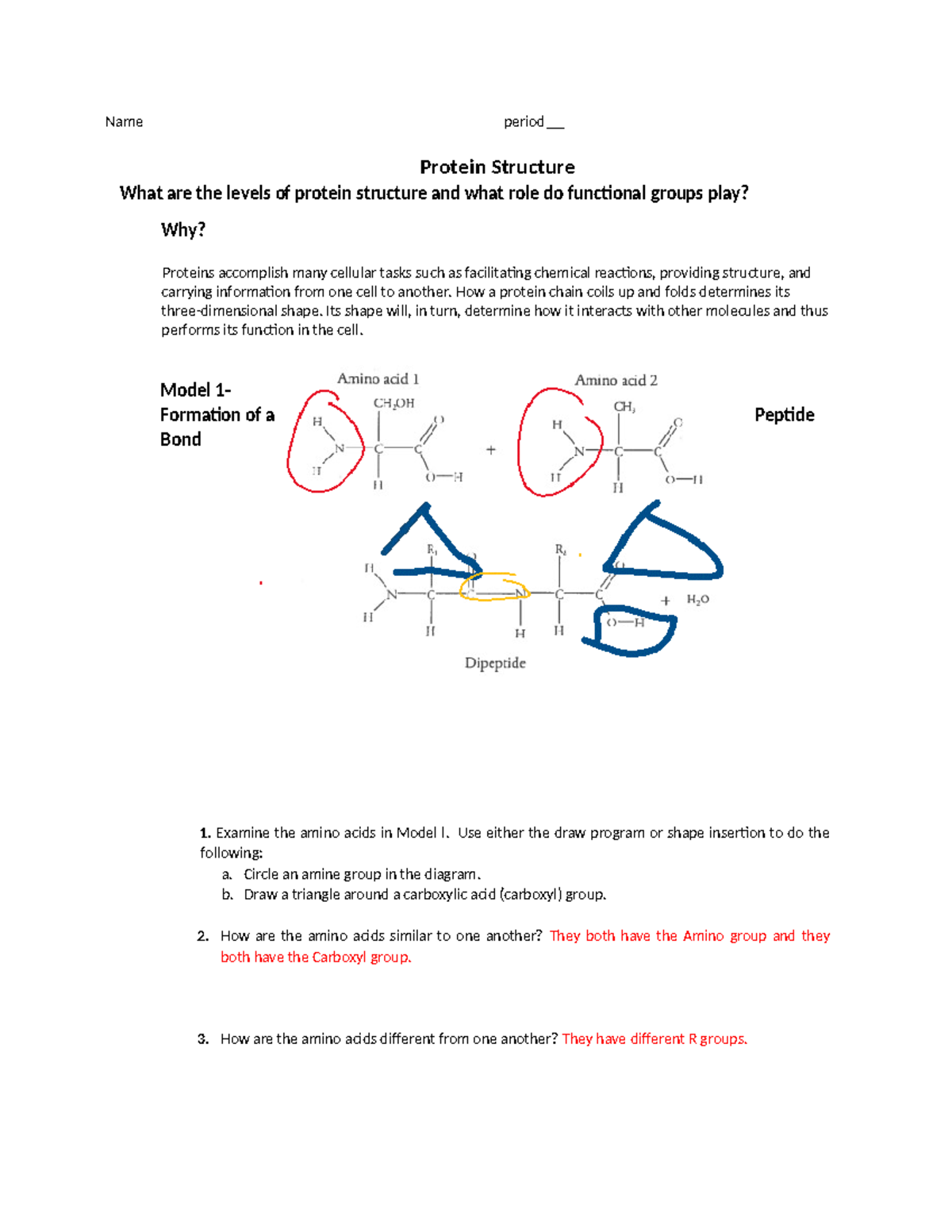 Pogil Ecological Pyramids: Ace Your Assignment With This Key - 6isnp9c